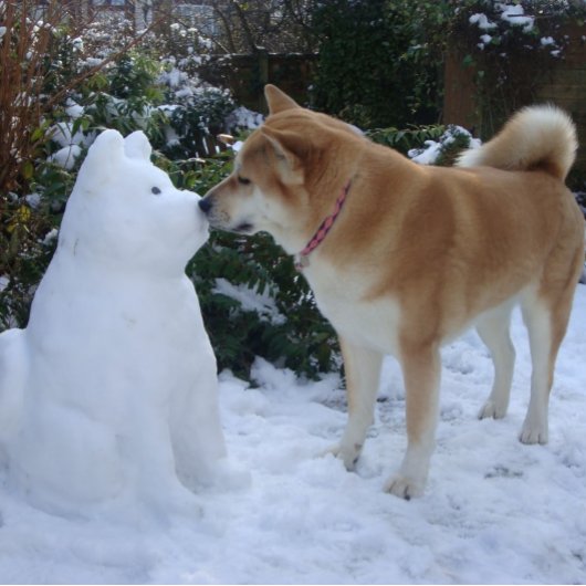 snowman akita-hond kus legpuzzel