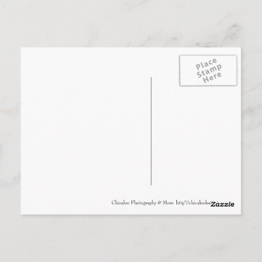 Snowman Briefkaart (Achterkant)