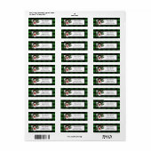 Snowman Buffalo Postlabel spelregels Etiket (Full Sheet)