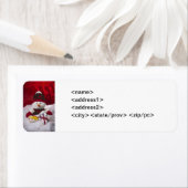 Snowman en kerstcadeaulabel etiket (Insitu)