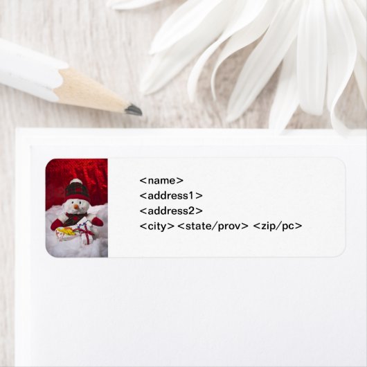 Snowman en kerstcadeaulabel etiket (Insitu)