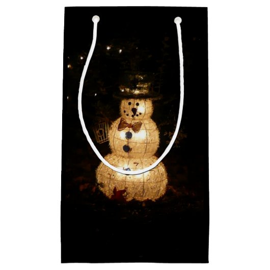 Snowman Holiday Light Display Klein Cadeauzakje (Voorkant)
