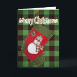 Snowman Kerstmis, Buffalo-speldenSjabloon stoppen Feestdagen Kaart<br><div class="desc">Deze kerstkaart is voorzien van een foto van een zelfgemaakte rode en groene koker met een schattige sneeuwpop die is gekleed met een seizoensgebonden gipsjaal en een pet dat over een groene buffelpleister is gegoten. Pas de binnengroet aan, verwijder om het even welke tekst of klik pas aan om een...</div>