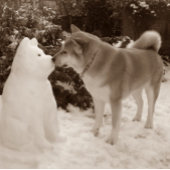 snowman kussen met een schattige akita hond voor k latte mok
