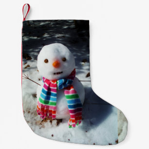 Snowman met Rainbow Scarf Snowman met Rainbow Sc Kleine Kerstsok