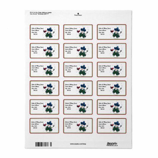 Snowman Wearing Cowboy Pet Etiket (Full Sheet)