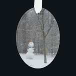 Snowman Winter Sneeuwscene van de buren Ornament<br><div class="desc">Sommige van onze buren hebben kleine kinderen,  en ik moet net voorbij lopen nadat ze een schattige sneeuwman hebben afgewerkt. Bekijk onze winkel voor meer winterlandschapsfotografie. Dit afbeelding is ook voorzien van het breedbeeldbehangsel "The Buurs Snowman" op www.mlewallpapers.com.</div>