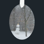 Snowman Winter Sneeuwscene van de buren Ornament<br><div class="desc">Sommige van onze buren hebben kleine kinderen,  en ik moet net voorbij lopen nadat ze een schattige sneeuwman hebben afgewerkt. Bekijk onze winkel voor meer winterlandschapsfotografie. Dit afbeelding is ook voorzien van het breedbeeldbehangsel "The Buurs Snowman" op www.mlewallpapers.com.</div>
