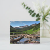 Snowmass Creek Aspen Colorado Briefkaart (Staand voorkant)