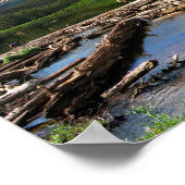 Snowmass Creek Aspen Colorado Poster (Hoek)