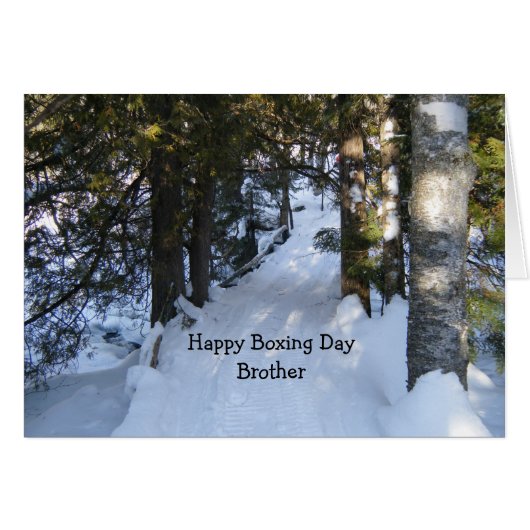 Snowmobile Trail (Voorkant Horizontaal)