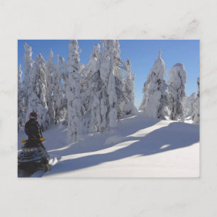 Snowmobiler Winterscape Briefkaart