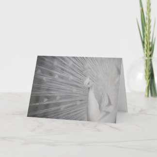 SnowPeacock Bedankkaart