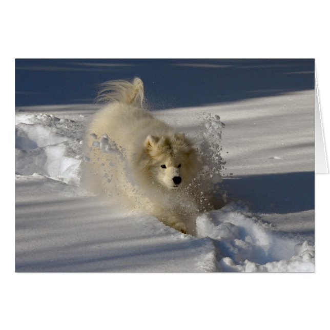 Snowplow - blanco kaart (Voorkant Horizontaal)