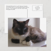 Snowshoe Briefkaart (Voorkant / Achterkant)