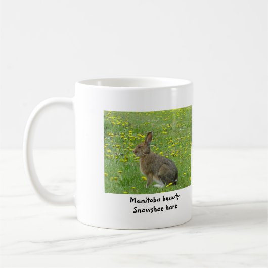 Snowshoe hare adores dandelions koffiemok (Links)