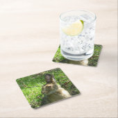 Snowshoe hare grazing kartonnen onderzetters (Insitu)