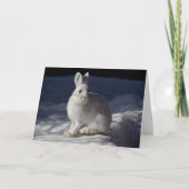 Snowshoe Hare in het Nationaal Park Sneeuwland Den Feestdagen Kaart (Voorkant)