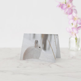 Snowshoe Hare in sneeuw Kaart