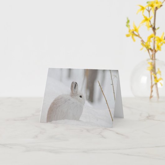 Snowshoe Hare in sneeuw Kaart (Gele Bloem)