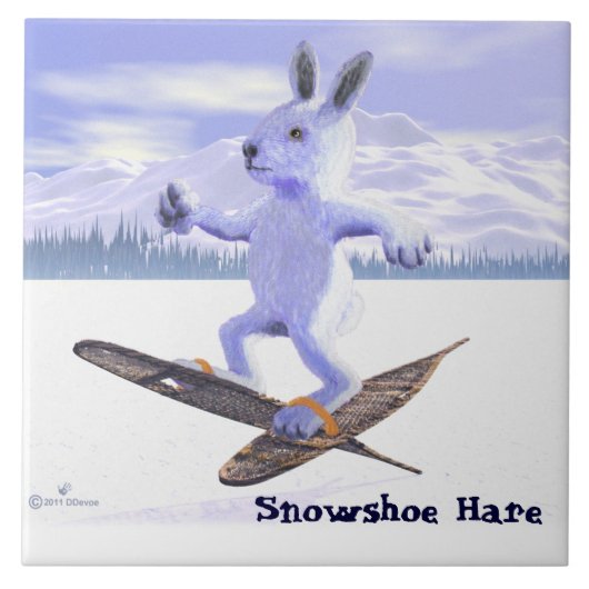 Snowshoe Hare Tegeltje (Voorkant)