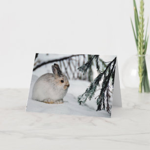 Snowshoe Hare Winter Snow Natuur Scene Kaart