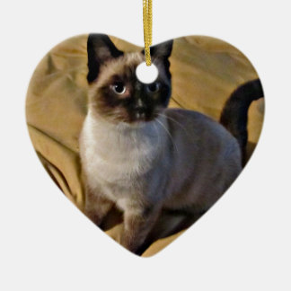 Snowshoe Kitten Gifts Keramisch Ornament
