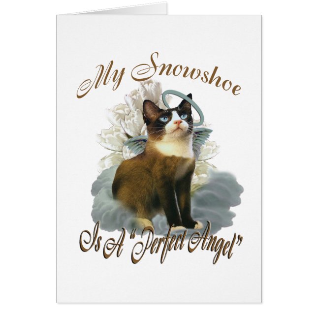 Snowshoe Perfect Angel (Voorkant)