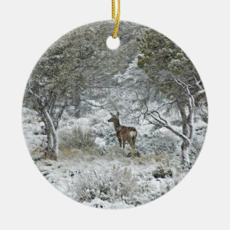 Snowstorm Keramisch Ornament