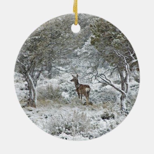 Snowstorm Keramisch Ornament (Achterkant)