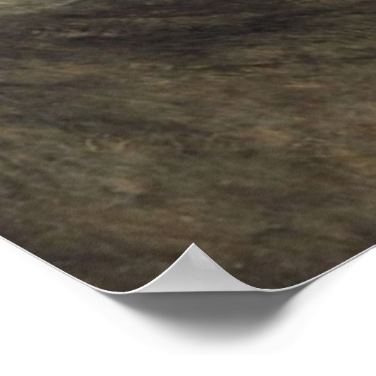 Snowstorm Poster (Hoek)