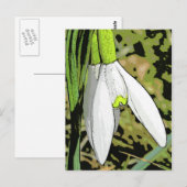 Snowtoons Briefkaart (Voorkant / Achterkant)