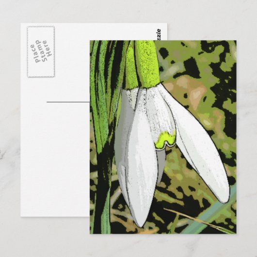 Snowtoons Briefkaart (Voorkant / Achterkant)