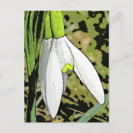 Snowtoons Briefkaart (Voorkant)