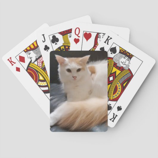 Snowvalkaarten Speelkaarten (Achterkant)