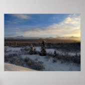 Snowy Aftermiddag Poster (Voorkant)