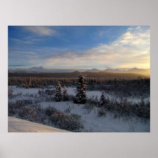 Snowy Aftermiddag Poster (Voorkant)