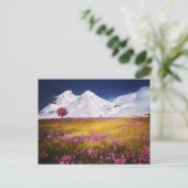 Snowy Alps Briefkaart (Staand voorkant)