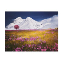 Snowy Alps Briefkaart