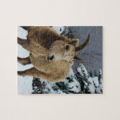 Snowy Animal 8x10 Foto Puzzle Legpuzzel (Horizontaal)