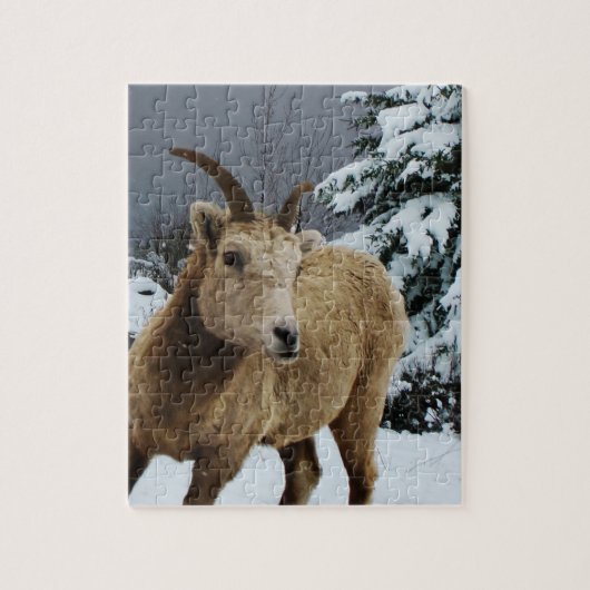 Snowy Animal 8x10 Foto Puzzle Legpuzzel (Verticaal)