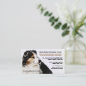 Snowy Australian Shepherd Veterinarian Vet Clinic Visitekaartje (Staand voorkant)
