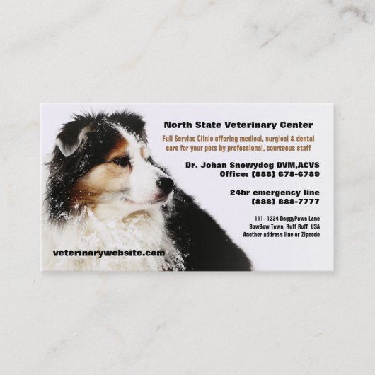 Snowy Australian Shepherd Veterinarian Vet Clinic Visitekaartje (Voorkant)