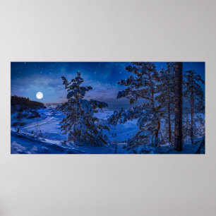 Snowy Baltic zee kust met visboom in de nacht Poster