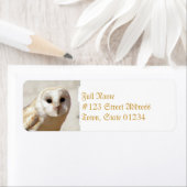 Snowy Barn Owl Adresetiketten Etiket (Insitu)