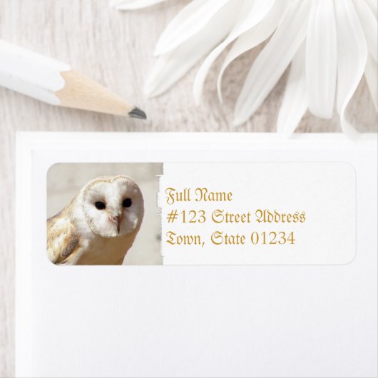 Snowy Barn Owl Adresetiketten Etiket (Insitu)