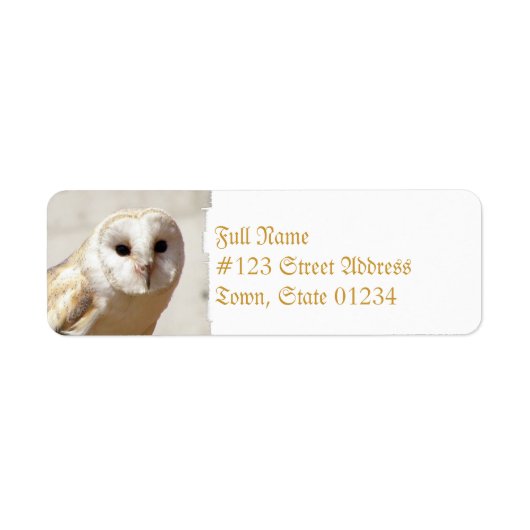 Snowy Barn Owl Adresetiketten Etiket (Voorkant)