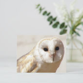 Snowy Barn Owl Briefkaart (Staand voorkant)