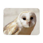 Snowy Barn Owl Flexible Magnet Magneet (Horizontaal)