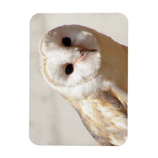 Snowy Barn Owl Flexible Magnet Magneet (Verticaal)